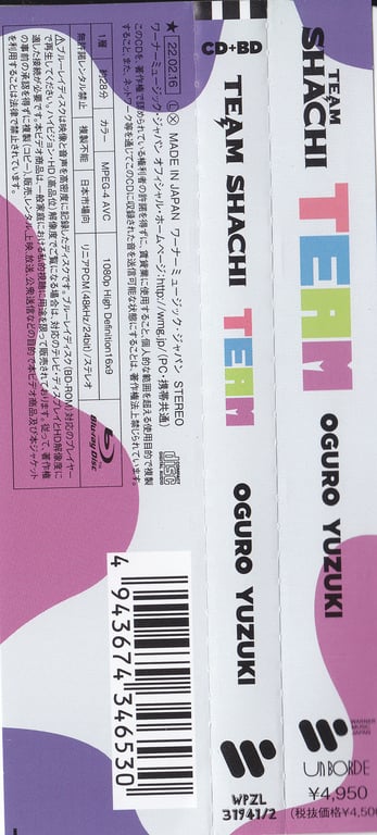 图片[2]-TEAM SHACHI - TEAM (Booklets) (FC, HORIZON, and 柚木 Editions) - 在线免费观看-阅图吧