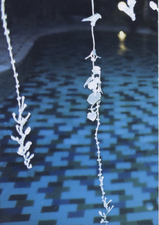 图片[38]-#釈由美子 – CHAOS - 全本免费在线观看-阅图吧