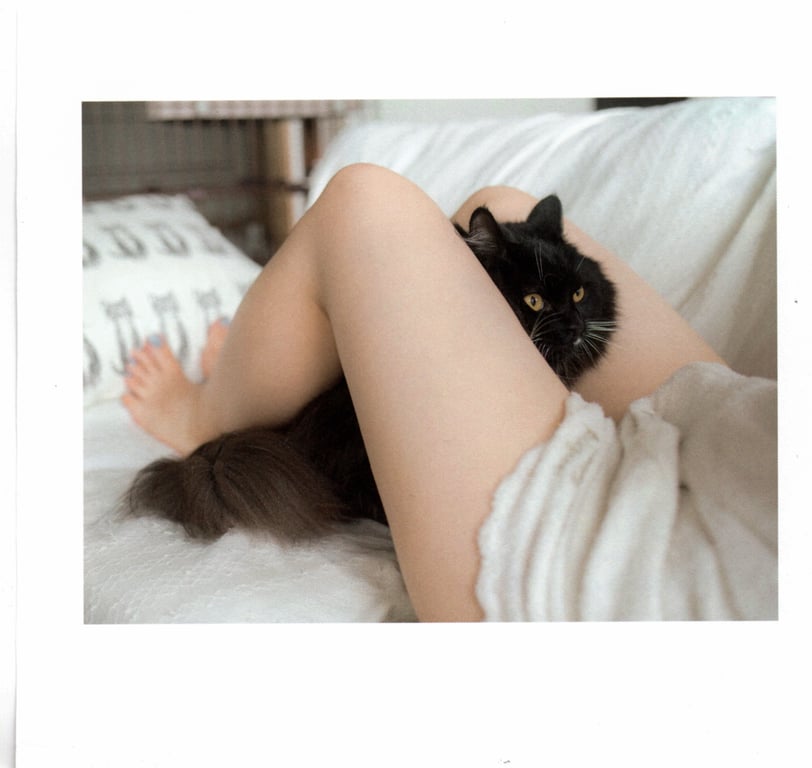 图片[10]-#青山裕企 Photobook 26sets\【青山裕企】猫与大腿 - 全本免费在线观看-阅图吧