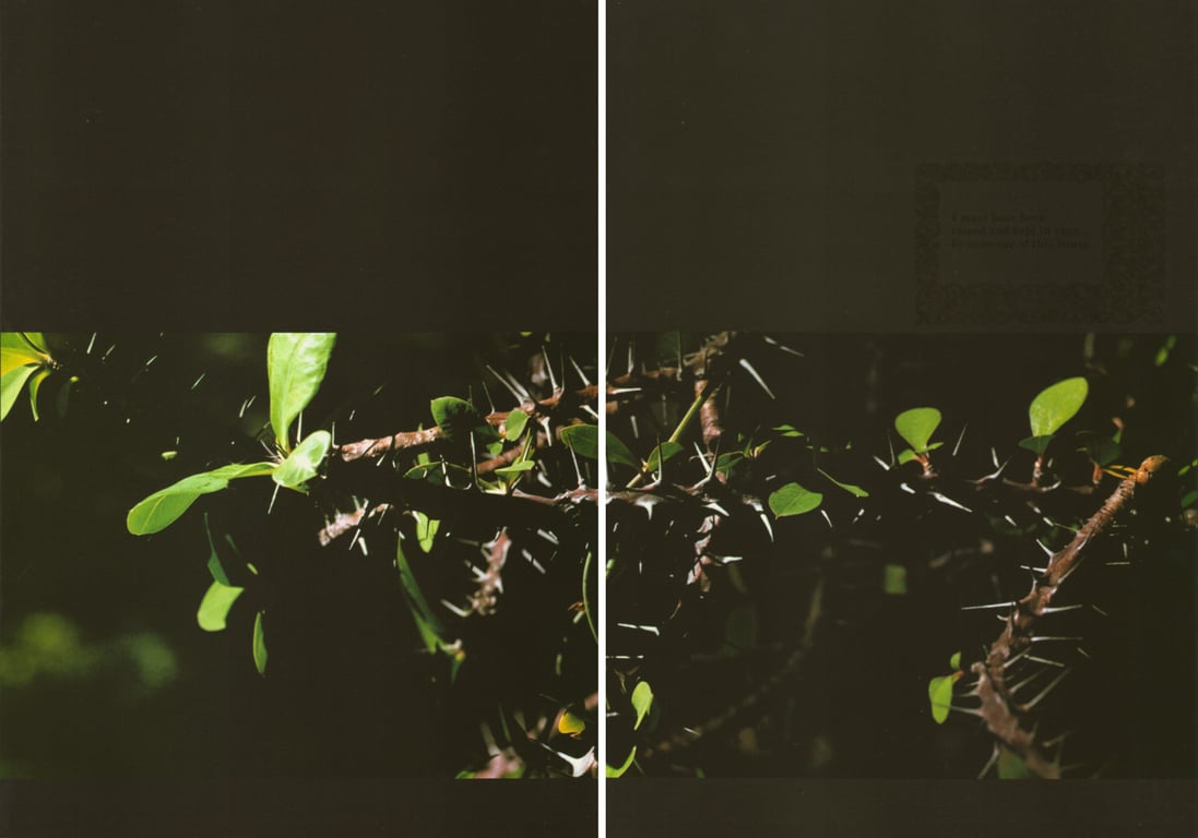 图片[32]-#(月刊系列 040) – 月刊040 安达祐实Special - 全本免费在线观看-阅图吧