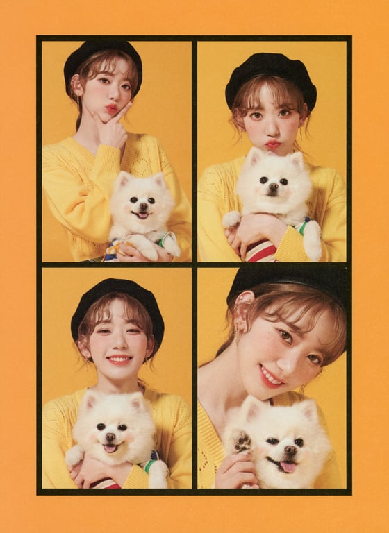 图片[62]-Sakura Miyawaki 宫胁咲良 - Graduation Visual Booklet - 在线免费观看-阅图吧