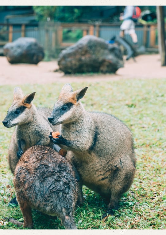 图片[26]-#馬場ふみか 马场巡游 - 全本免费在线观看-阅图吧