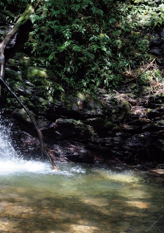 图片[54]-#Yurika Wagatsuma 我妻百合花 1st Photobook – Self-indulgence Yurika’s angelic smile 任性百合花的天使笑容 (2021-11-30) - 全本免费在线观看-阅图吧