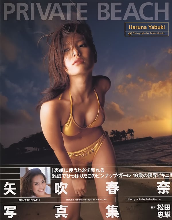 #矢吹春奈 – PRIVATE BEACH - 全本免费在线观看-阅图吧