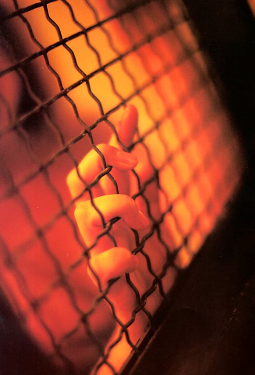 图片[65]-#Chizuru Ikewaki 池脇千鶴 – Straight 笔直 - 全本免费在线观看-阅图吧