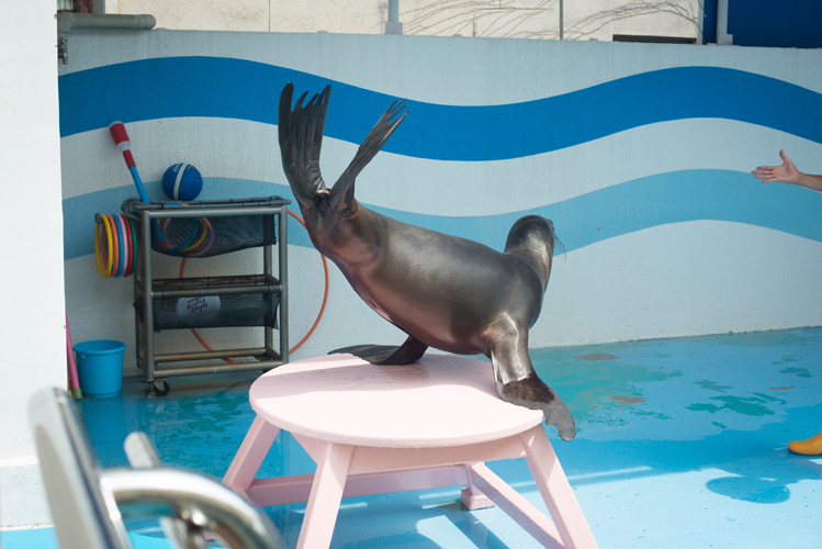 图片[46]-Ryoha Kitagawa 北川绫巴 - Driving Date with Girlfriend SKE48 与恋人的兜风约会 - 在线免费观看-阅图吧