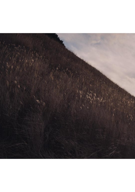 图片[200]-#白肌姫 【大河桃温泉写真集】 (Wunder_Publishing_House.) - 全本免费在线观看-阅图吧