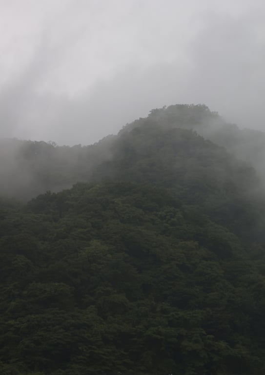 图片[128]-8woman Last Dance JEWELS 周刊邮报数字写真集 - 在线免费观看-阅图吧