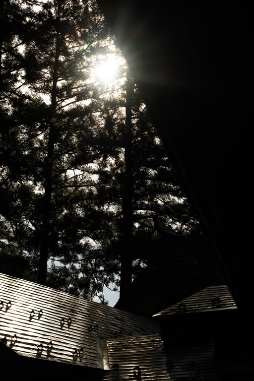 图片[158]-けん研🧪 (剑剑) 女忍者忍法色诱之术DL写真集 - 在线免费观看-阅图吧