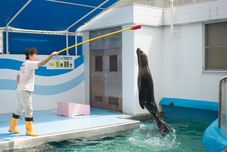 图片[47]-Ryoha Kitagawa 北川绫巴 - Driving Date with Girlfriend SKE48 与恋人的兜风约会 - 在线免费观看-阅图吧