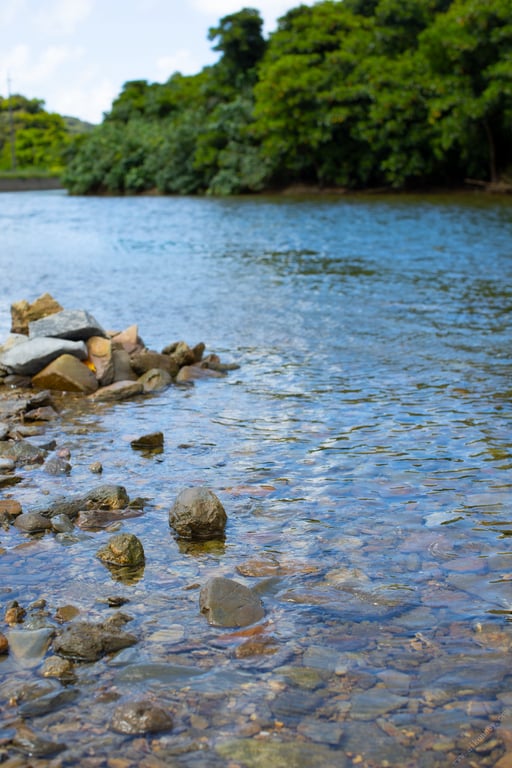图片[159]-#Riho Fujimori 藤森里穂 Eden 伊甸 (2021.11.12) - 全本免费在线观看-阅图吧