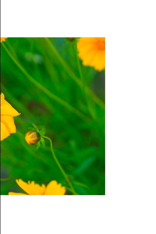 图片[42]-#希代亜美 オフィシャル写真集 白い裸 - 全本免费在线观看-阅图吧