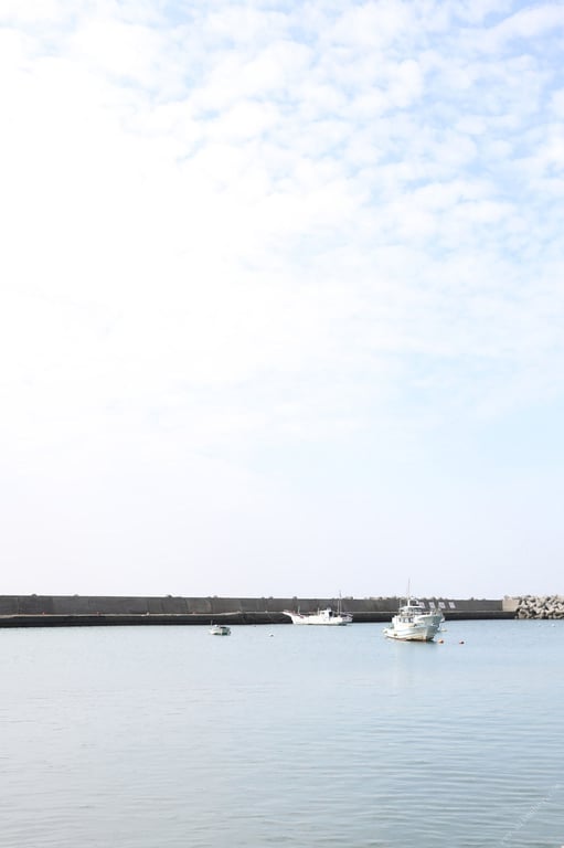 图片[2]-#Yuko Ono 小野夕子 – Shonan woman 湘南的女人 (2019-11-11) - 全本免费在线观看-阅图吧