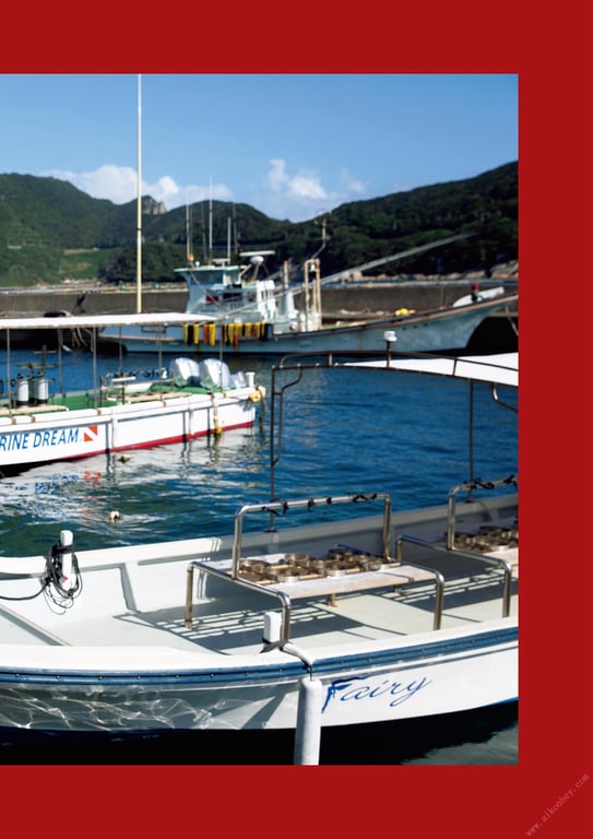 图片[132]-#月刊 华村飞鸟 今 写真 ND CHOW - 全本免费在线观看-阅图吧