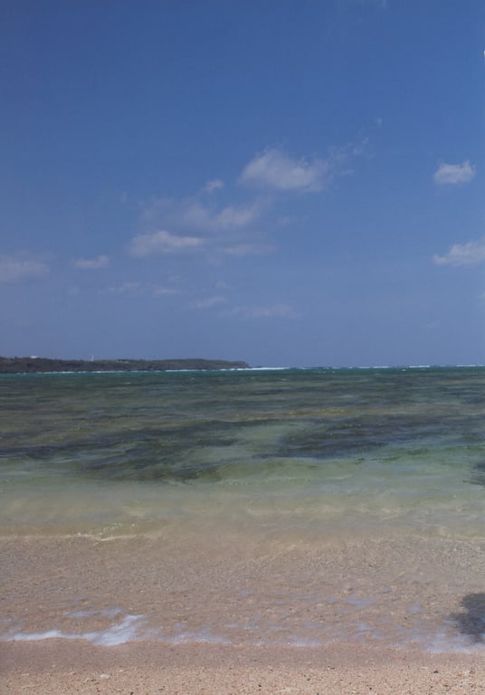 图片[83]-#Maimi Yajima – Nobody knows 23 - 全本免费在线观看-阅图吧