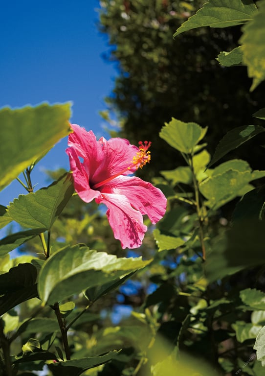 图片[20]-#【特典画像43张附】步利惠子 1st写真集数字完全版 SPHERE - 全本免费在线观看-阅图吧