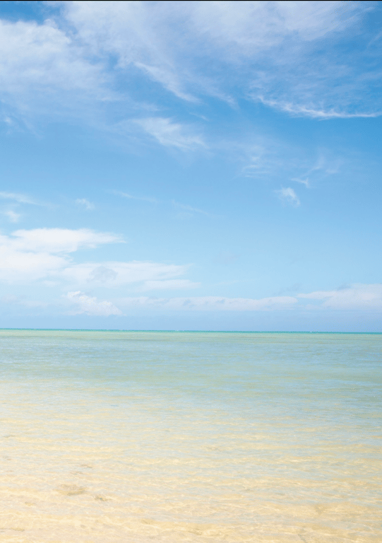 图片[87]-#渚光希 写真集「PRISM」(alarm) - 全本免费在线观看-阅图吧