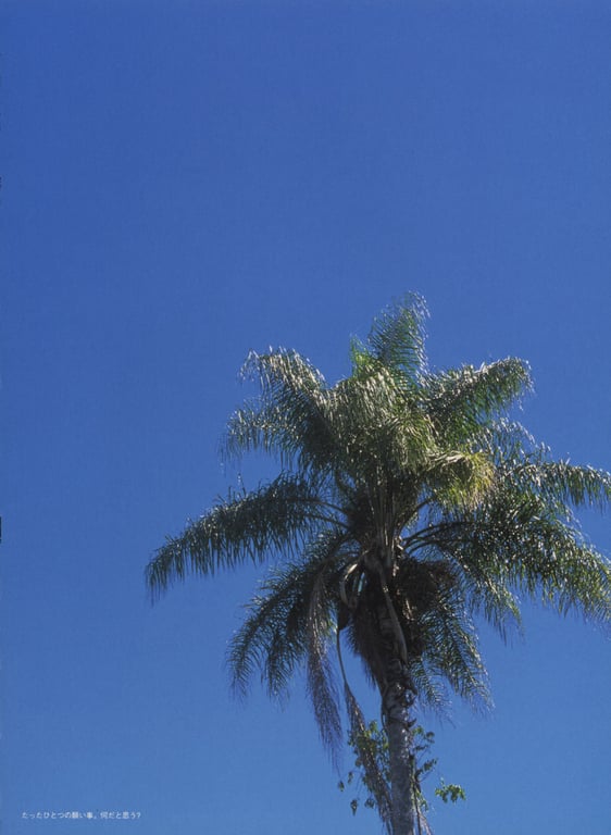 图片[87]-#相楽のり子 写真集 on／off - 全本免费在线观看-阅图吧