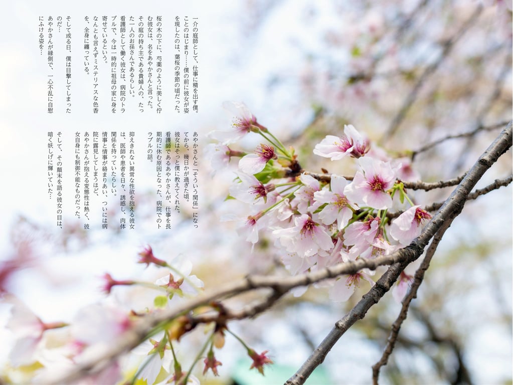 图片[2]-#望月绫香 ヌード写真集 ことの始まり - 全本免费在线观看-阅图吧