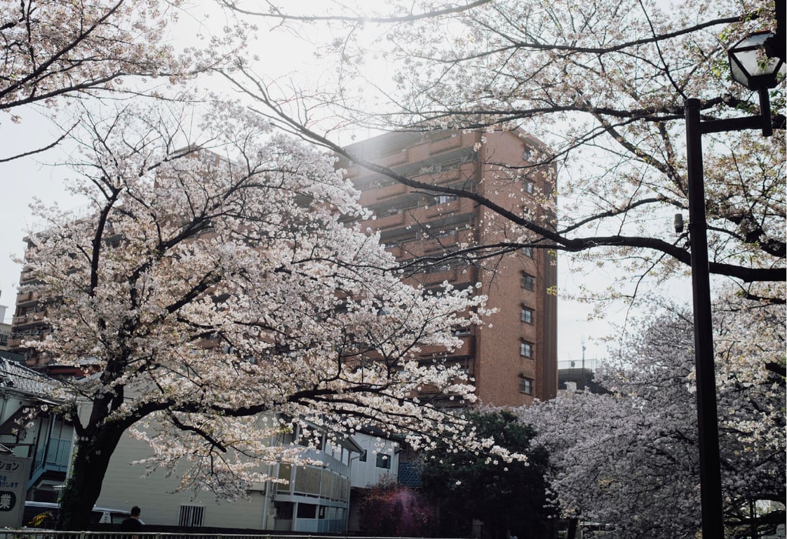 图片[52]-#七森莉莉 デジタル写真集 とられち - 全本免费在线观看-阅图吧