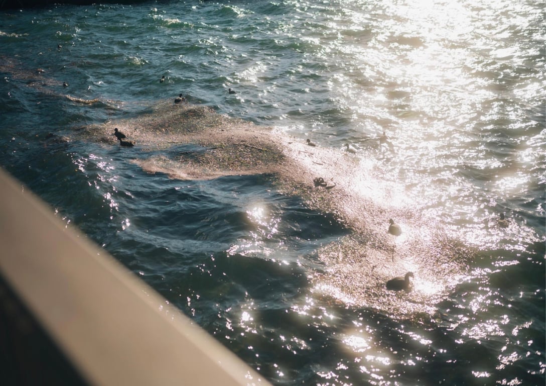 图片[18]-#芽衣 写真集 萌芽 (Wunder Publishing House) - 全本免费在线观看-阅图吧