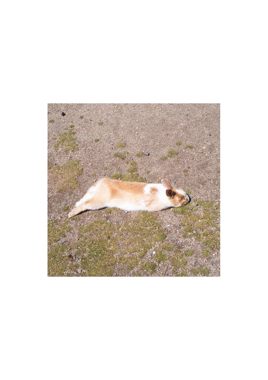 图片[29]-市川美织1st写真集 PRIVATE - 在线免费观看-阅图吧