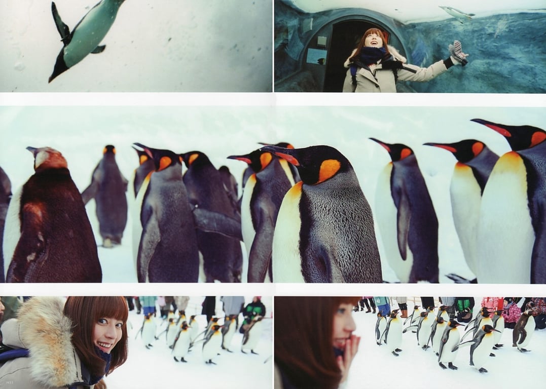 图片[27]-#杉本有美 写真集 杉本有美与1泊2日 - 全本免费在线观看-阅图吧