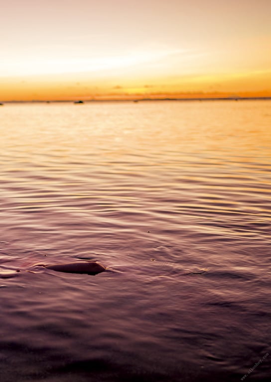 图片[4]-#大久保樱子 ファースト写真集 『 SAKURAKO 』 - 全本免费在线观看-阅图吧