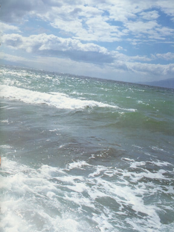 图片[33]-#小野真由美 – Love Maui - 全本免费在线观看-阅图吧