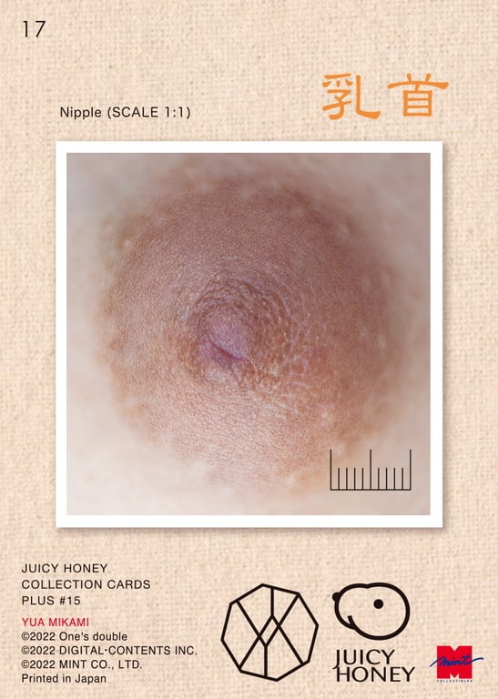图片[33]-#Juicy Honey PLUS#15 三上悠亚 - 全本免费在线观看-阅图吧