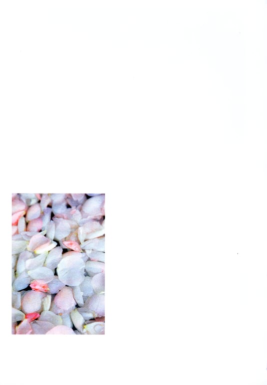 图片[149]-#Haruna Kojima 小嶋阳菜 – 1st. Photo Book Kojiharu 1st.写真集 小阳 - 全本免费在线观看-阅图吧