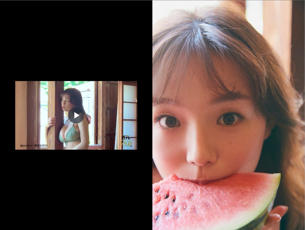 图片[19]-#2nd Anniversary Digest Catalog Lite Edition - 全本免费在线观看-阅图吧