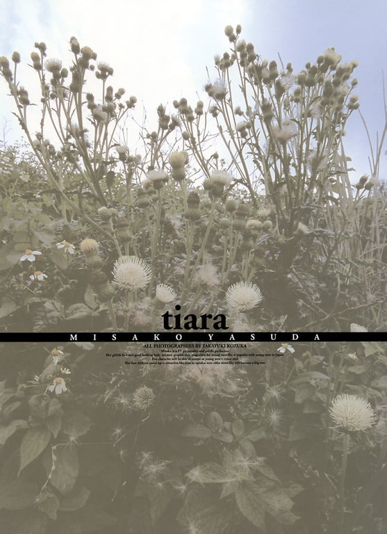 图片[2]-#Misako Yasuda 安田美沙子 – tiara (2004-07-05) - 全本免费在线观看-阅图吧