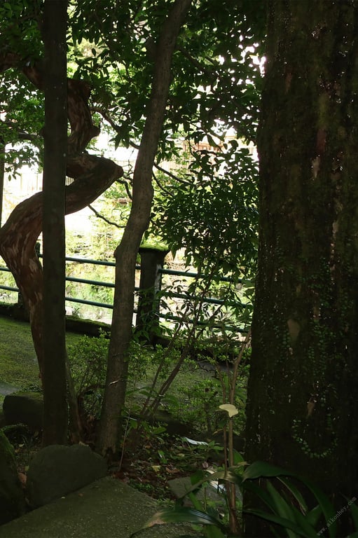 图片[15]-#森咲智美「秘汤的密会 DAY.1」 FRIDAY数字写真集 - 全本免费在线观看-阅图吧