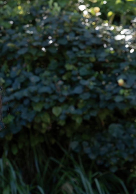 图片[74]-2024.12.20 北野瑠華 写真集「永远，触手可及」デジタル版 - 在线免费观看-阅图吧