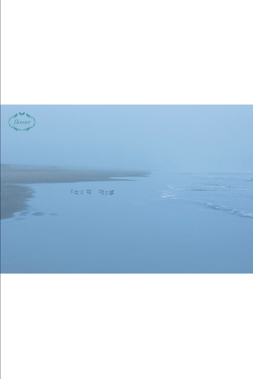 图片[5]-#FLOWER 数字写真集 星奈子 vol.06 - 全本免费在线观看-阅图吧