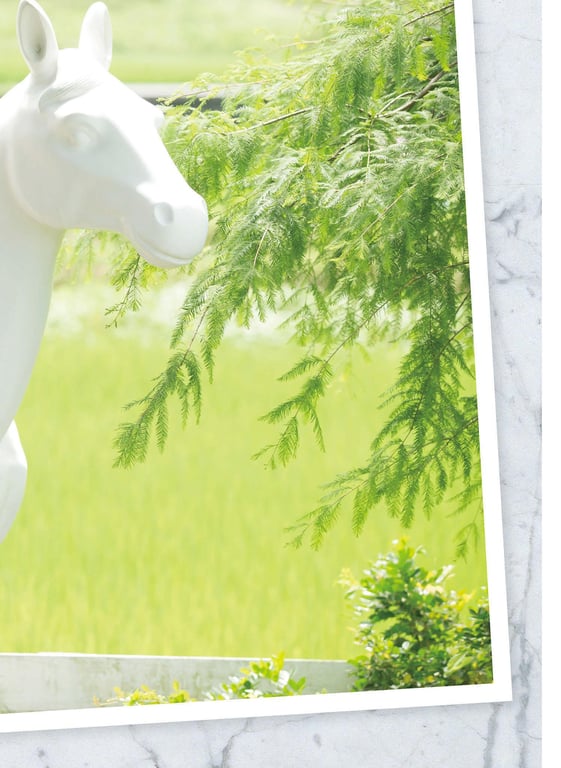 图片[53]-#黃語辰-與辰同行 (2019-10-24) - 全本免费在线观看-阅图吧