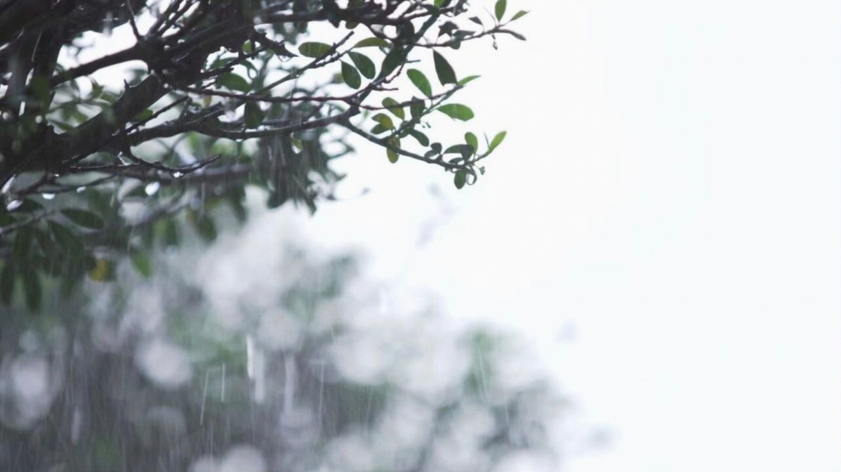 图片[86]-#びしょ濡れＯＬ雨宿り強制わいせつ vol.1 中条カノン 松永さな 森本つぐみ (TMA) - 全本免费在线观看-阅图吧