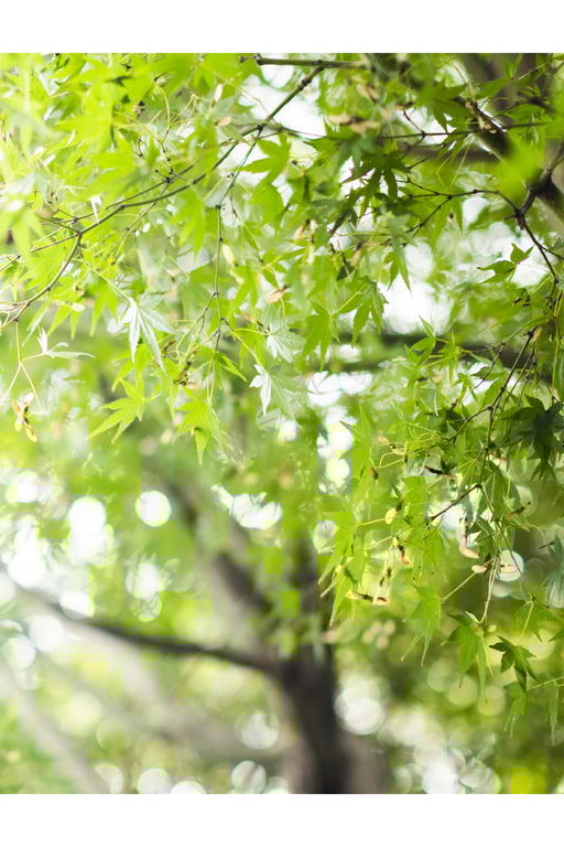 图片[64]-妃ひかり 开放式淋浴写真集 光照射的方向 - 在线免费观看-阅图吧