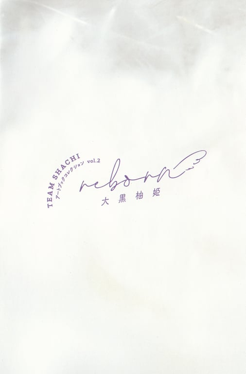 图片[9]-2020.03.11 TEAM SHACHI 艺术书收藏Vol.2 - 在线免费观看-阅图吧