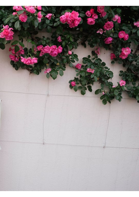 图片[10]-#石川澪《被夺走》 - 全本免费在线观看-阅图吧