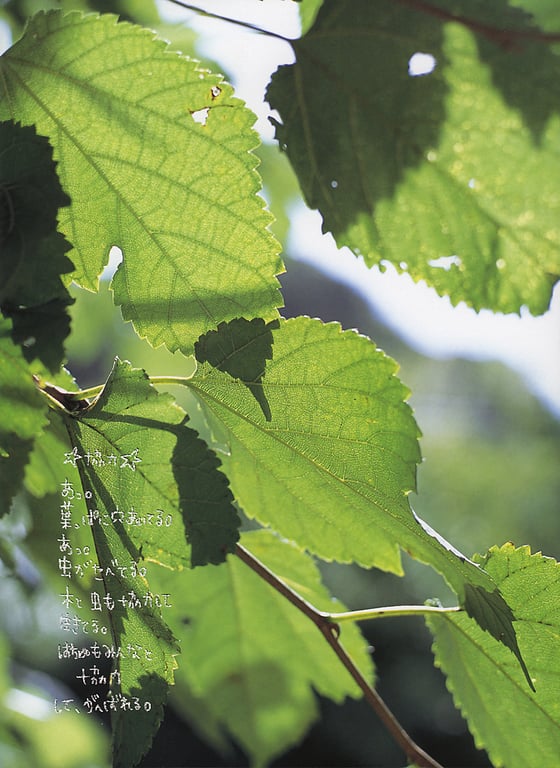 图片[13]-#松嶋初音 – 初世界 (2004.11.25) - 全本免费在线观看-阅图吧