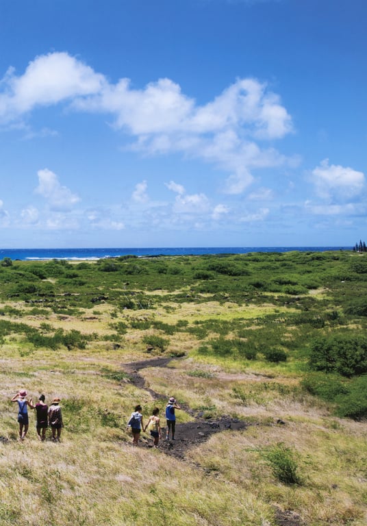 モーニング娘。'14「アロハロ! モーニング娘。'14 写真集」 Amazon限定カバーVer-阅图吧