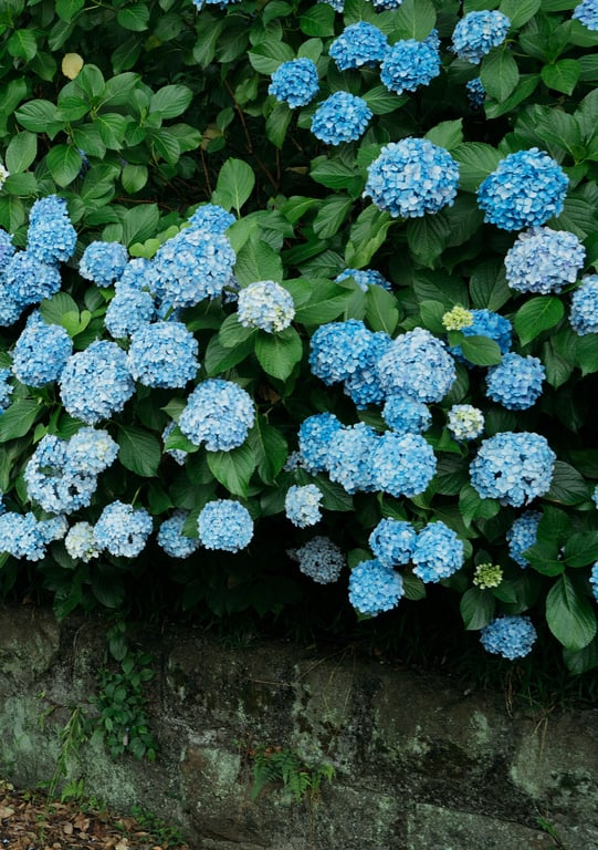 图片[84]-七沢みあ デジタル写真集 とられち(No Watermark) - 阅图吧-阅图吧