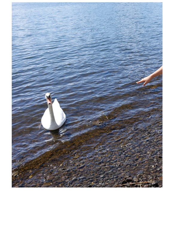 图片[10]-EMILY 官方写真集 清澈季节 - 在线免费观看-阅图吧