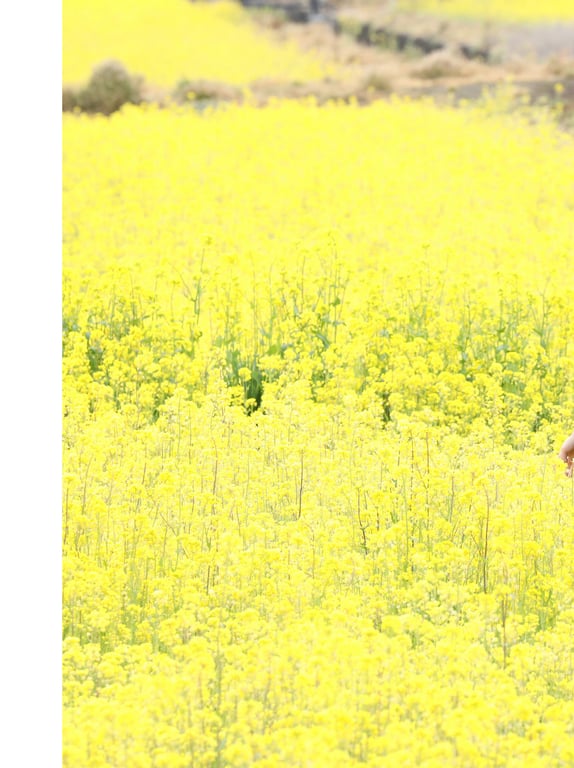 图片[121]-#藤崎里菜写真集 blossom - 全本免费在线观看-阅图吧