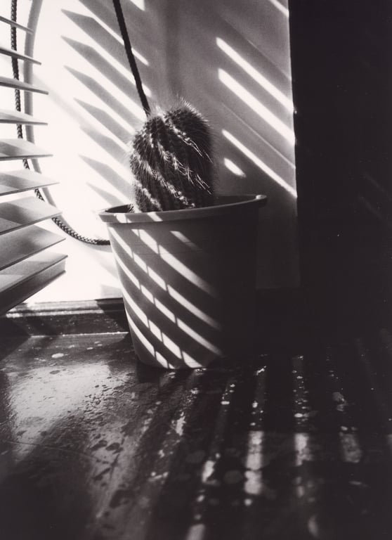 图片[89]-#Maki Goto 后藤真希 – PRISM (2004-04-24) - 全本免费在线观看-阅图吧