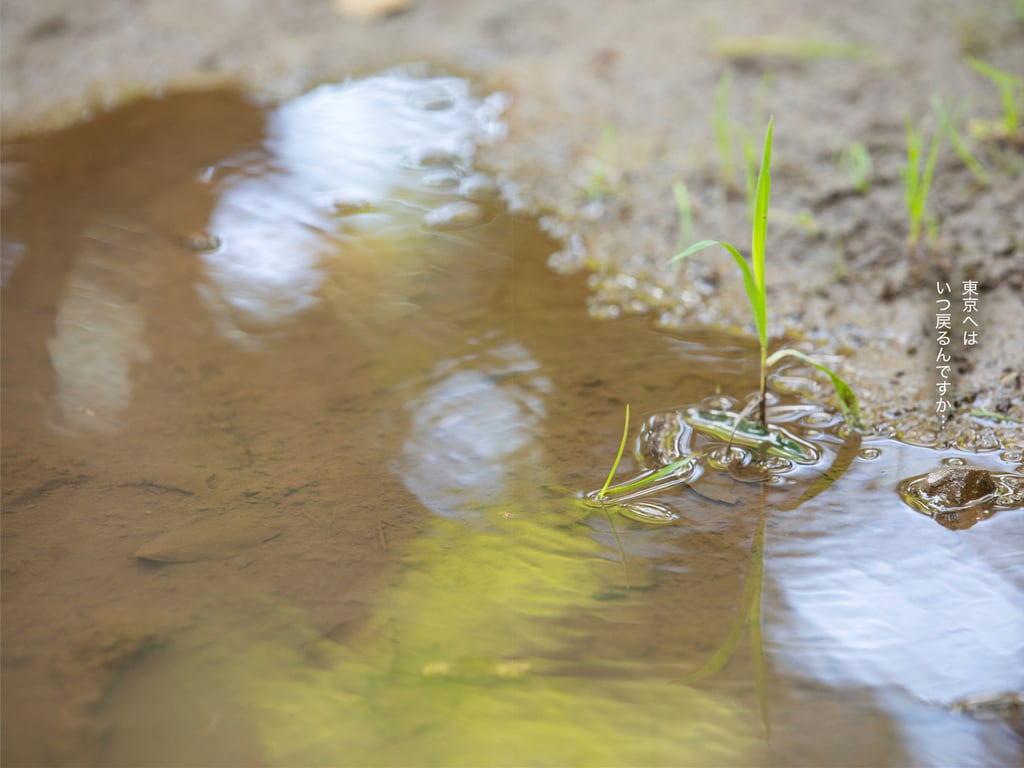 图片[21]-#松岡すず Exclusive Best 01 - 全本免费在线观看-阅图吧