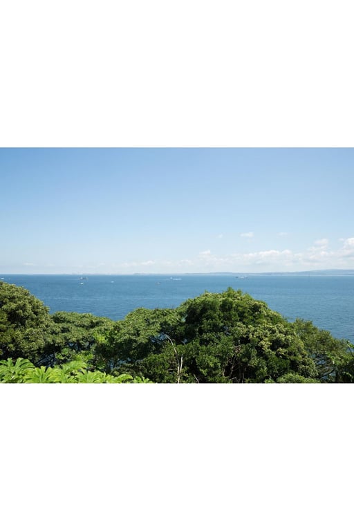 图片[47]-#Marie Iitoyo 饭丰玛丽耶 – PROTO STAR 饭丰玛丽耶 vol.1-4 - 全本免费在线观看-阅图吧