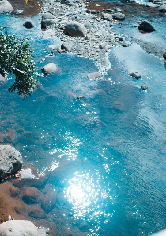 图片[30]-#極致 裸体写真集 (Wunder_Publishing_House.) - 全本免费在线观看-阅图吧